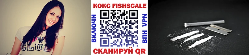 COCAIN Fish Scale  купить наркотик  Невель 