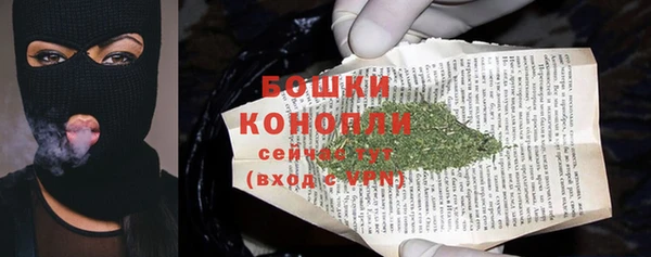 прущие грибы Богданович
