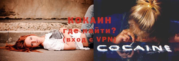 mdpv Богородицк