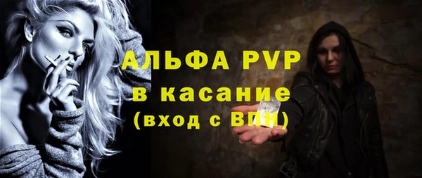 прущие грибы Богданович
