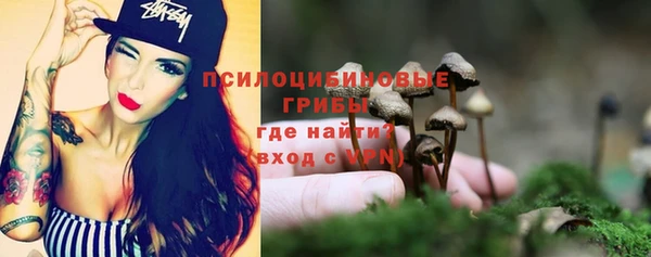 прущие грибы Богданович