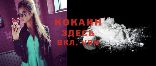 прущие грибы Богданович