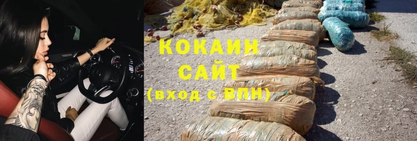 прущие грибы Богданович
