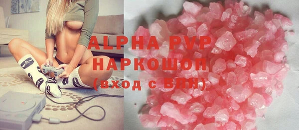 прущие грибы Богданович
